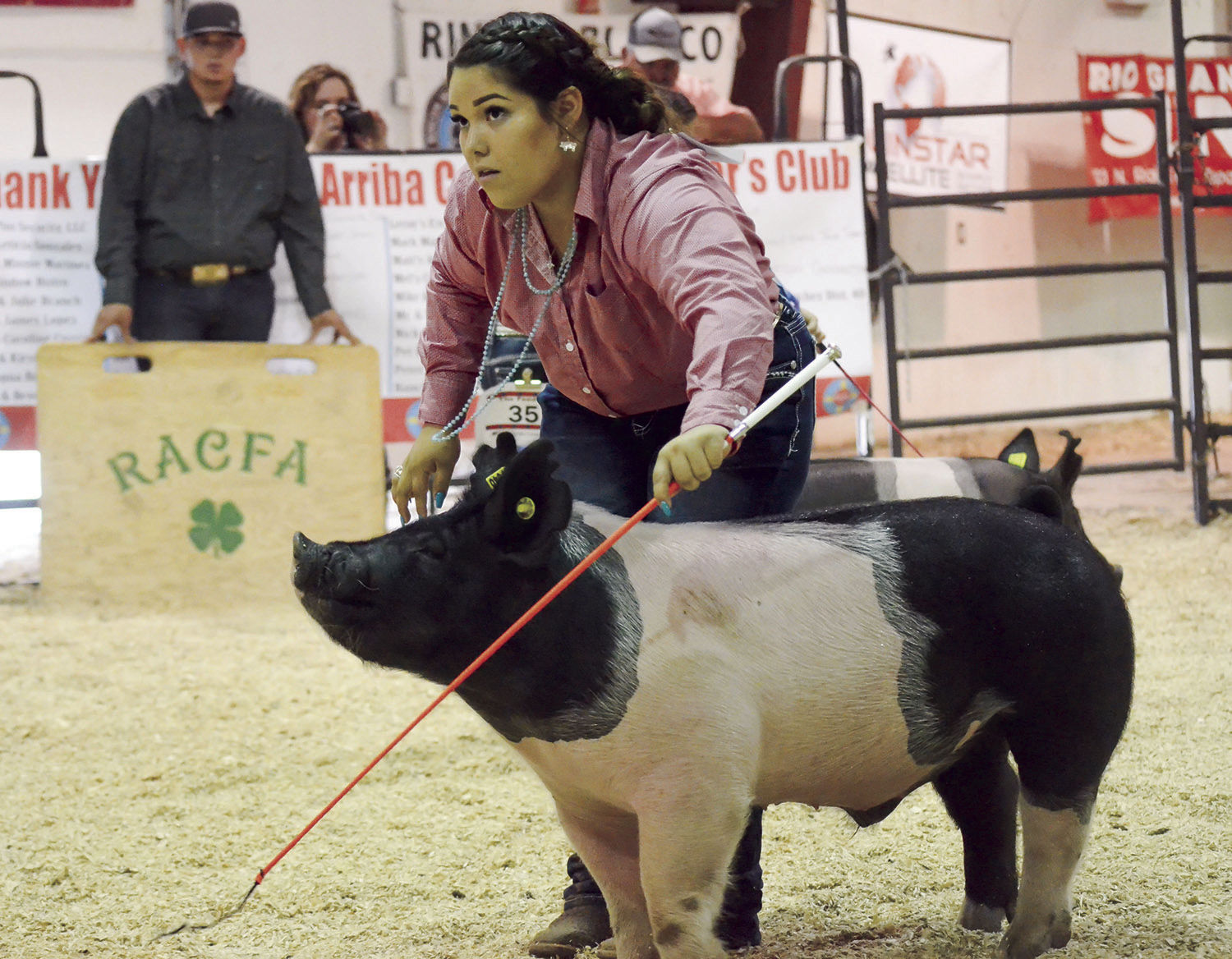 county fair swine show hallie vigil2.jpg